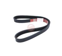 MASTER-SPORT 6PK900-PCS-MS Correa trapecial poli V