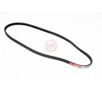 MASTER-SPORT Correa trapecial poli V 3PK925-PCS-MS para FIAT PUNTO (176)