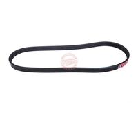 MASTER-SPORT Correa trapecial poli V 4PK715-PCS-MS para FIAT PUNTO (188)