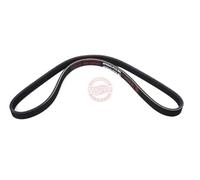 MASTER-SPORT Correa trapecial poli V 4PK845-PCS-MS para HYUNDAI GETZ (TB)