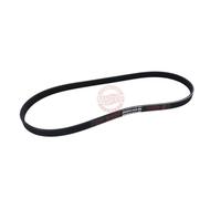 MASTER-SPORT Correa trapecial poli V 5PK970-PCS-MS