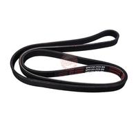 MASTER-SPORT Correa trapecial poli V 6PK1751-PCS-MS ULYSSE (220) 1750mm