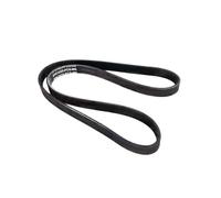 Master-sport Germany 5PK1025-PCS-MS - Correa trapecial poli V