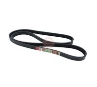 Master-sport Germany 6PK1610-PCS-MS - Correa trapecial poli V
