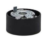 MASTER-SPORT N16022-PCS-MS Polea tensora, correa dentada