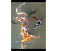 Mastering the Art of Drawing: A Step-by-Step Guide to Unlock Your Creative Potential