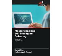 Masterizzazione dell'immagine Dehazing: Tecniche e Algoritmi di IA