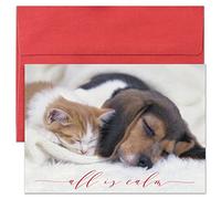 Masterpiece Studios Holiday Collection Brights Cards 16 tarjetas/sobres, All Is Calm, 5.6 x 7.8 pulgadas