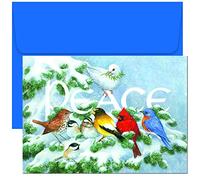 Masterpiece Studios Holiday Collection Petites - Tarjetas en caja, corona de Navidad, 18 tarjetas y 18 sobres forrados