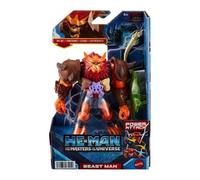 He-Man and the Masters of the Universe HDY36 toy figure