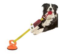 Masticador De Mascotas Con Succión: Agarre Piso Reforzado, Generador Sonido Interno, Amortiguador Superficie Texturizada | Compromiso Social Estación Ejercicio Activo Para Cachorros Juego Ocupado Gimn