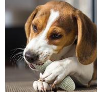 Masticadores indestructibles para perros, suministros molares duraderos para mascotas, masajes de puntos, pasta de dientes, juguetes de comida lenta, cepillo de dientes para perros, juguete masticable