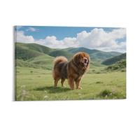 Mastín tibetano en meseta Cuadro De Pared, Poster Obra De Arte Colgado | Impresión Lienzo Murales, Único Pintura Decor De Hogar Para Salón Dormitorio, Regalo 20x30inch(50x75cm)