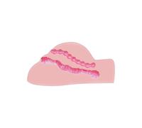 Masturbador hombre agujero del ano vibrador, Ancho 30 mm, Longitud 18 mm, Profundidad 12 mm, Departamento HOMBRE, Poids 1.473 Kg, Colores Nude