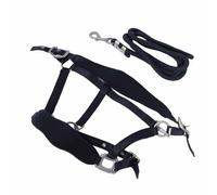 MasYosh Cabestro de Caballo, Cabestro de Poliéster Acolchado Suave Ajustable con Correa de 2 M, para Entrenar Caballos Que Caminan y Trotan (Mediano: Aprox.17,6x16,2x10cm/6,93x6,38x3,94)