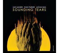 Mat Maneri - Sounding Tears w/ Evan Parker and Lucian Ban