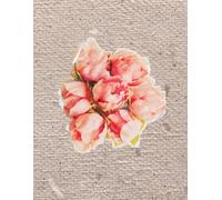 Matcha Paperback notebook, 120 Pages, Lined 8.5x11 Inch.: I bought a softcover notebook for my daily journal.