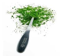 MatchaTherapy Cuchara medidora de té Matcha, 1 gramo, 1 porción, acero inoxidable premium, taza medidora, duradera y apta para lavavajillas, Scoop