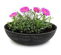 matches21 HOME & HOBBY Cuenco para plantas para exterior en negro marmoleado 30 x 9 cm como maceta resistente a la intemperie