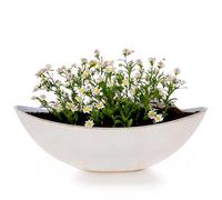 matches21 HOME & HOBBY Macetero ovalado grande de 34 cm, vintage, para exteriores, color crema y blanco brillante