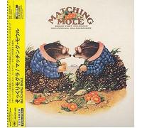 Matching Mole - Matching Mole