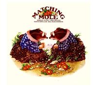 MATCHING MOLE - Matching Mole