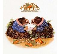 MATCHING MOLE - Matching Mole