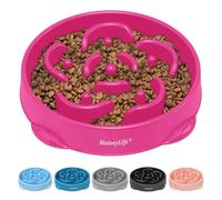 Mateeylife Comedero para Perros, Comedero Perro Antivoracidad para Cani Mediani e Grandi, Slow Feeder Anti Ingozzamento, Grande 1 Unidad