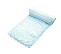 Matelas de refroidissement pour animaux de compagnie - Couverture rafraîchissante décorative de 450 g, design imprimé mignon, glacée respirante, coussin d'oreiller confortable | Été Camping ex