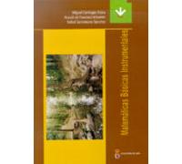 Matematicas Basicas Instrumentales