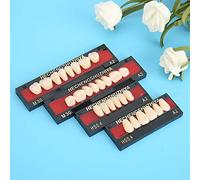 Material Dental Resina Sintética Dientes Postizos Herramienta de Cuidado de los Dientes para Dentaduras Postizas para Dentistas, Estética Mejorada y Durabilidad Mejorada, 100%
