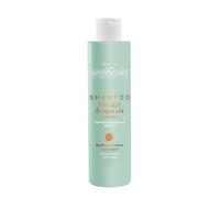 MaterNatura Champú Uso Frecuente con Té Blanco - 250 ml MaterNatura