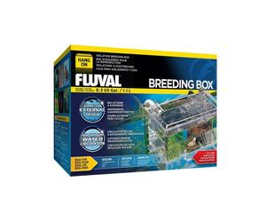 Maternidad Breeding Box Fluval - Média