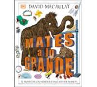 Mates a lo grande: El mundo de los números explicado por mamuts (Enciclopedia visual juvenil)