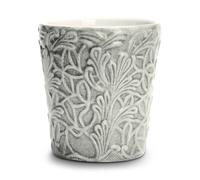 Mateus Taza Lace 30 ris