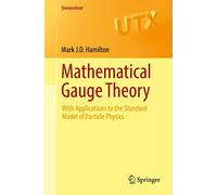 Teoría gauge matemática – Aplicaciones al Modelo Estándar de Partículas – Springer Verlag