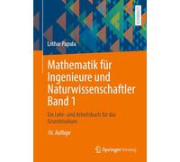 Mathematik für Ingenieure und Naturwissenschaftler Band 1: Ein Lehr- und Arbeitsbuch für das Grundstudium