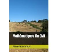 Mathématiques Fin CM1