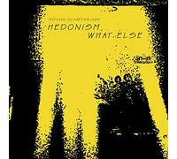 Mathias Schaffhäuser - Hedonism, What Else