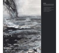 Maths - The Fires Courting The Sea [Vinilo]