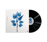 MATT BERNINGER (THE NATIONAL) - Get Sunk (2025) LP Vinilo Preorden