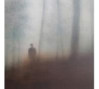 Matt Elliott - Farewell to All we Know (Vinyl) [Import] [Vinilo]