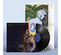 Matt Sweeney & Bonnie 'Prince' Billy Superwolves (Vinyl) 12" Album