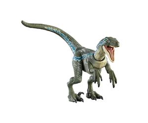 Mattel Jurasicc World Velociraptor Blue Colección Hammond Figura de acción dinosaurio coleccionable articulado, juguete +8 años, HTV62