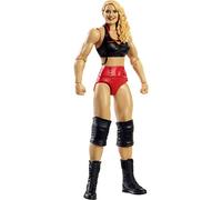 Mattel WWE Figura básica Muñeco de colección articulado, Juguete para niños +6 años, Modelos Surtidos GTG33