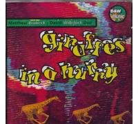 Matthew Brubeck & David Widel - Giraffes in a Hurry