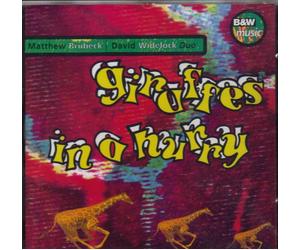 Matthew Brubeck & David Widel - Giraffes in a Hurry