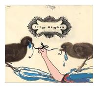 Matthew, Scott - Scott Matthew