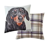 Maturi Cojín de Asiento Relleno con diseño de Perro Salchicha y Acuarela, Almohada para Silla o sofá, 43 x 43 cm