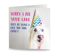 Maturi Divertida tarjeta de felicitación de cumpleaños con texto en inglés Sorry I Ate Your Cake, interior en blanco, 15,5 x 15,5 cm